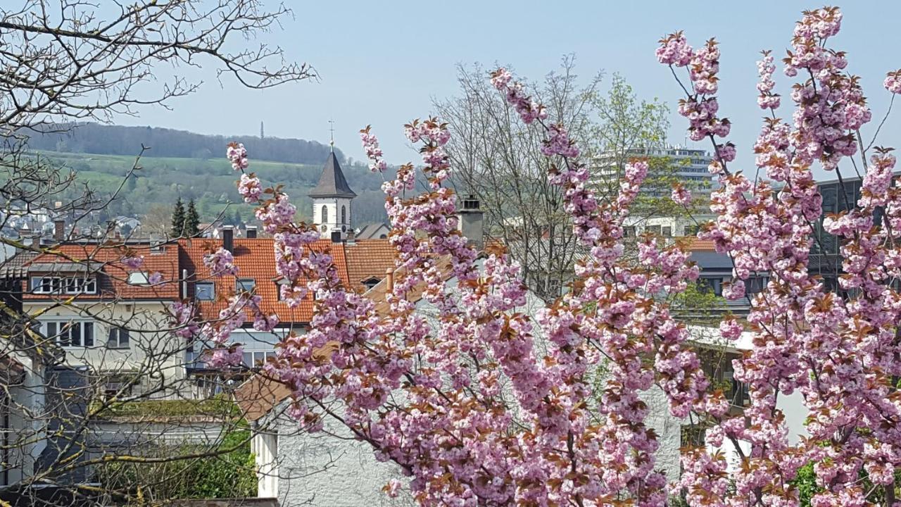 Villa Am Rosenfelspark Lörrach Exterior foto