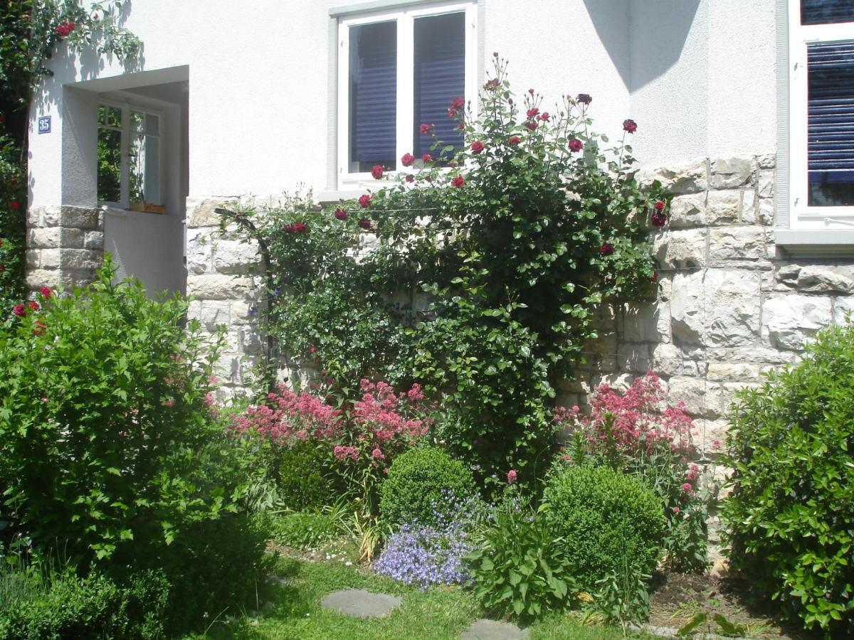 Villa Am Rosenfelspark Lörrach Exterior foto